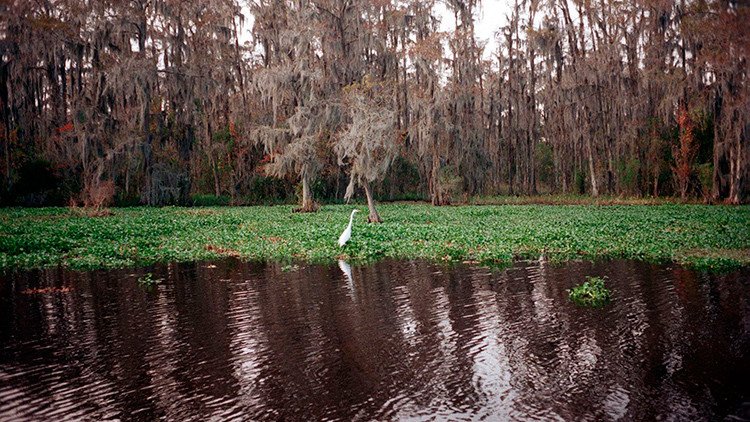 El pueblo de EE.UU. donde cada hora se hunde un área del tamaño de un campo de fútbol