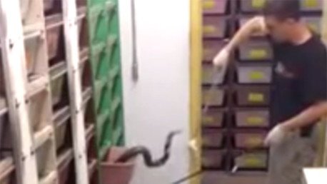 ¿Es este el trabajo más peligroso del mundo?