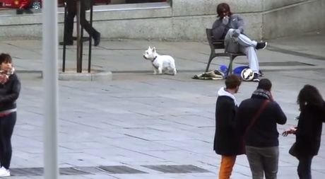 ¿Quién es este famoso futbolista que se disfrazó de 'vagabundo' para sorprender a los transeúntes?