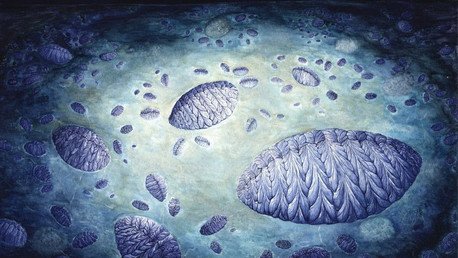 Los primeros 'animales' de la Tierra se reproducían como las fresas