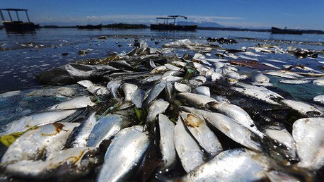 Las aguas contaminadas de Río: ¿obstáculo invencible para los Juegos Olímpicos de 2016?