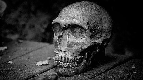 Descubren restos de una madre que murió protegiendo a su hijo de un terremoto