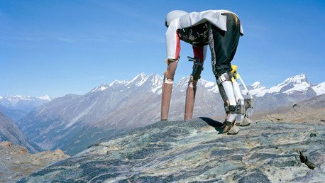 Como una cabra... ¿Qué busca este hombre a cuatro patas entre rebaños de los Alpes?