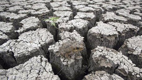 El Niño se hace mayor: Los 5 peores efectos del 'monstruoso' fenómeno climático