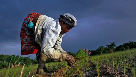Más de 25.000 agricultores piden permiso para suicidarse al presidente de la India