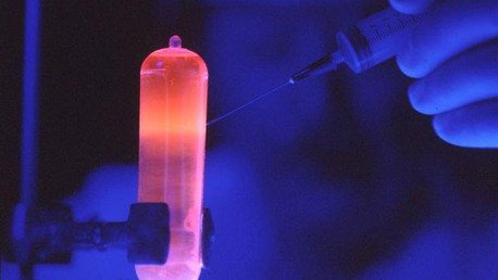 Trauma de los sobrevivientes del Holocausto se transmite a los genes de sus hijos