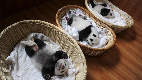 Las fotos más destacadas que nos dejó esta semana