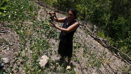 Honduras, al borde de una hambruna a causa de El Niño