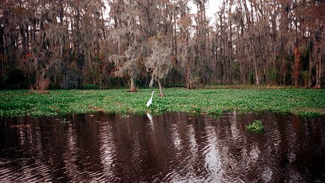 El pueblo de EE.UU. donde cada hora se hunde un área del tamaño de un campo de fútbol