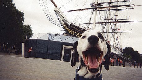 Entregan cámaras a 100 'sin techo' en Londres y esto es lo que fotografiaron