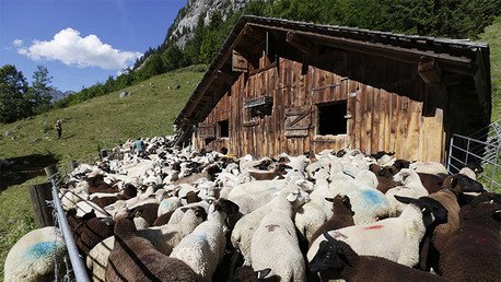 Cómo es la vida de los europeos que cambiaron la civilización por una utopía