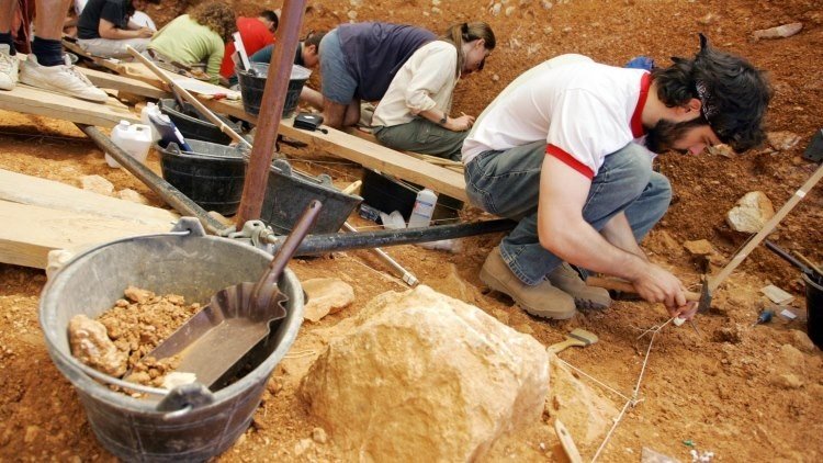Científicos españoles revolucionan la teoría de la evolución