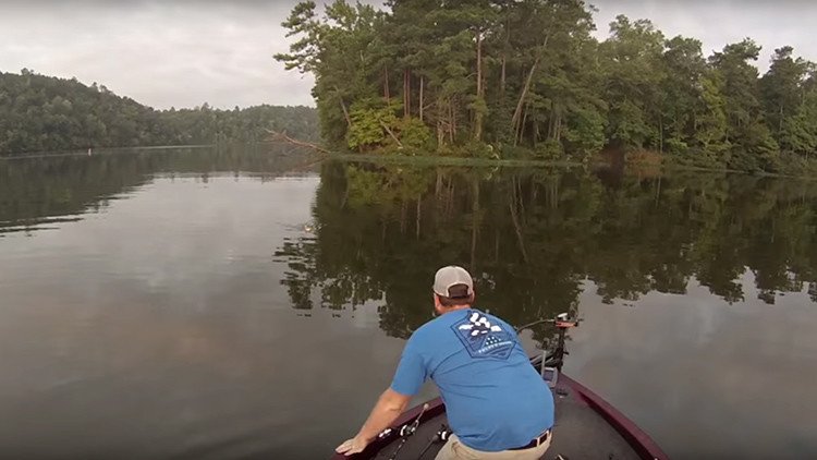 Pescan dos gatitos mientras buscaban peces gato