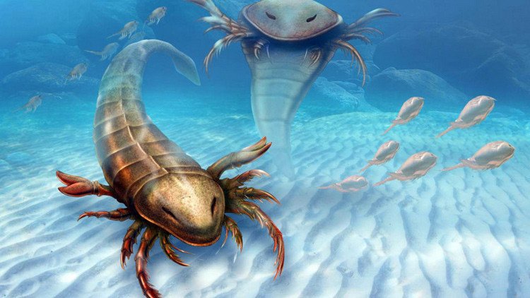 Garras en la cabeza y tamaño humano: hallan el depredador gigante más antiguo de la Tierra (fotos)