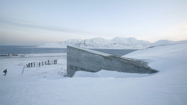 La guerra en Siria provoca la primera extracción de semillas de la 'bóveda del fin del mundo'