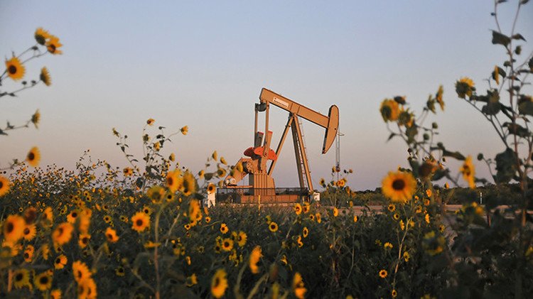 Una empresa colombiana inventa un método para limpiar de petróleo las zonas afectadas por vertidos