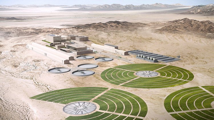 El cactus nopal: una solución contra la sequía en California