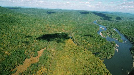 ¿Qué país de América Latina cuenta con el mayor número de árboles del planeta?