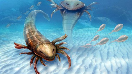 Garras en la cabeza y tamaño humano: hallan el depredador gigante más antiguo de la Tierra (fotos)