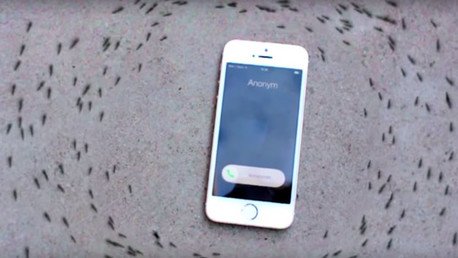 ¿Por qué un iPhone pone a 'bailar' locamente en círculo a todas estas hormigas?
