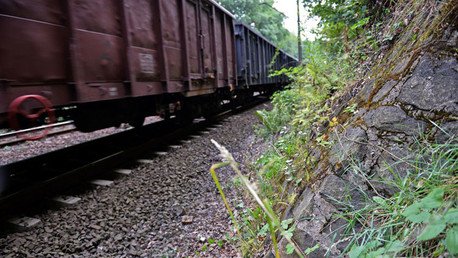 'Caza tesoros' presentan evidencias "concretas" de la existencia del tren de oro nazi