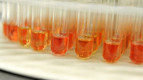 México: Desarrollan una vacuna contra el cáncer gástrico