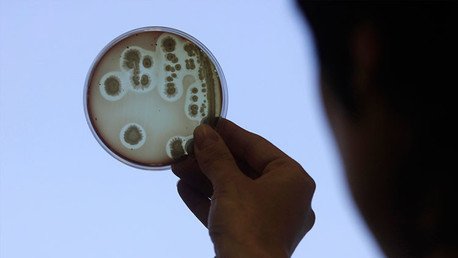 ¿Al borde del apocalipsis? Las enfermedades resistentes pueden provocar un estallido social