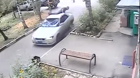 Una banda de "robapatatas" se lleva un escarmiento