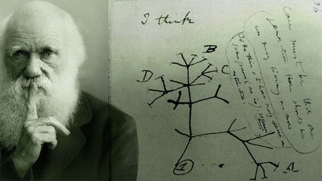 Crean un 'árbol de la vida' con 2,3 millones de especies