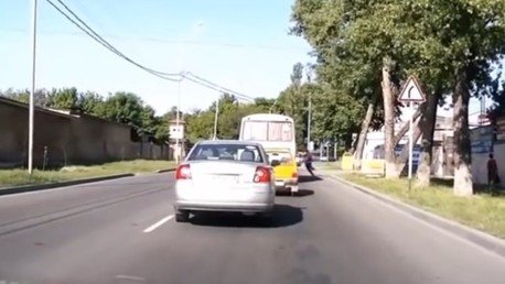 Un perro ‘empuja’ a un peatón a un accidente de trafico