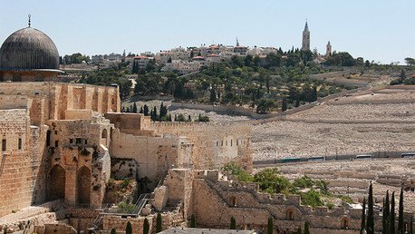 Un niño ruso de 10 años realiza un importante hallazgo arqueológico en Israel