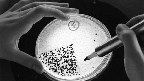 Científico ruso se inyecta 'células eternas' halladas en Siberia