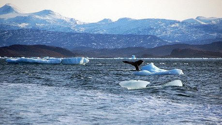 Groenlandia se vuelve negra por culpa de los volcanes rusos