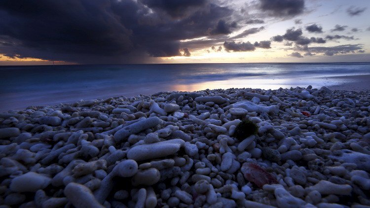 Los corales 'empalidecen': El calentamiento global arrebata a los arrecifes sus vivos colores