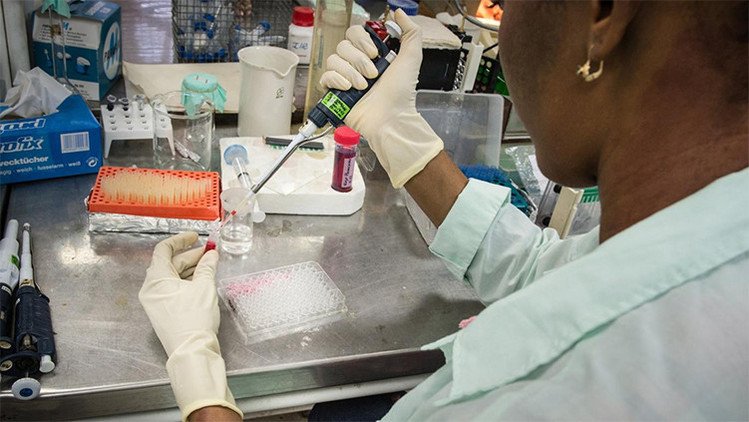 Científicos encuentran por accidente un remedio contra el cáncer