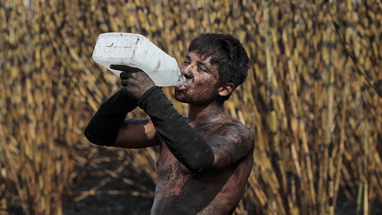 Una rara epidemia que azota Centroamérica podría estar relacionada con el cambio climático