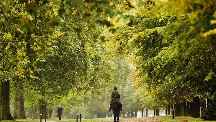 El calentamiento global está adelantando cada año más la primavera