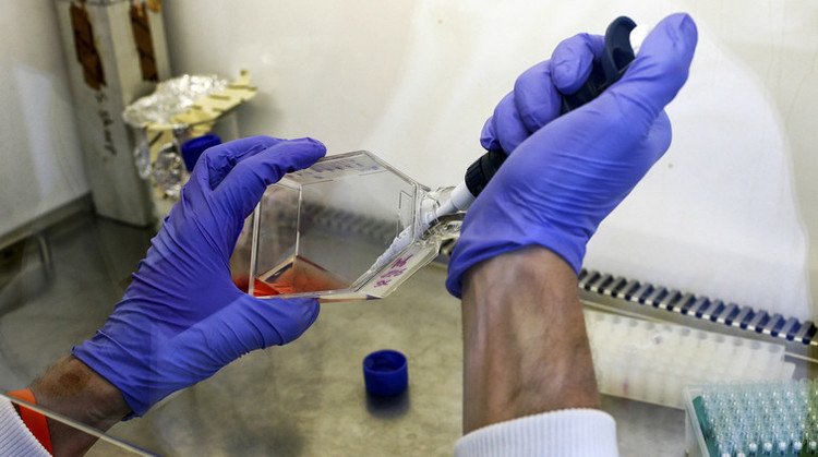 Una nueva tecnología hace que las células cancerosas 'se asesinen'