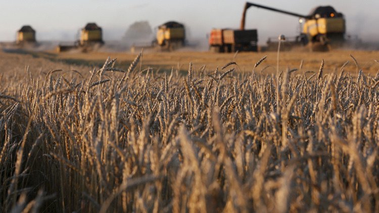 Cuatro países proponen hacer trueques con Rusia para evitar los pagos en dólares