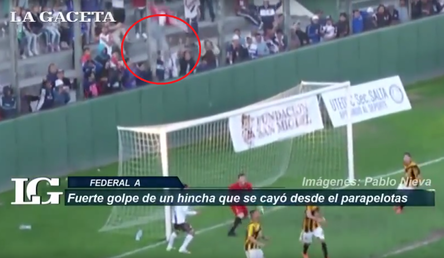 Un hincha cae 'desde el cielo' al campo del fútbol en pleno partido