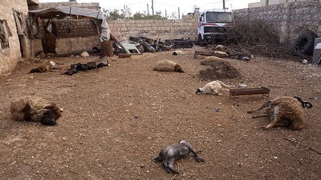 "Los terroristas poseen armas químicas y las han utilizado en Siria e Irak"