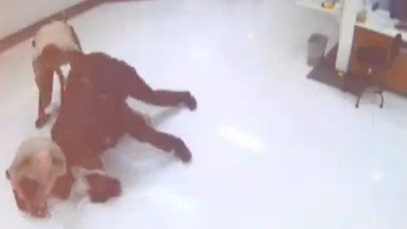 Fuertes imágenes: La encarnizada pelea entre policías y un afroamericano que le costó la vida