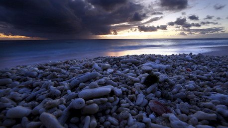 Los corales 'empalidecen': El calentamiento global arrebata a los arrecifes sus vivos colores