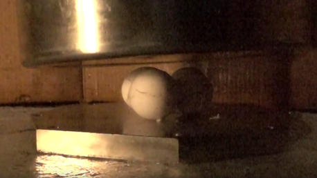 Los huevos de Terminator: ¿se pueden aplastar huevos bañados en nitrógeno líquido?