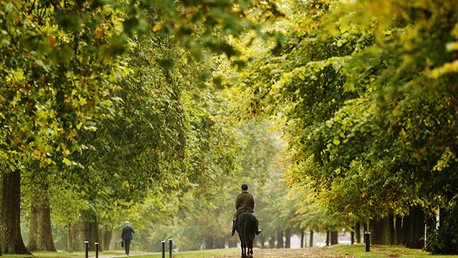 El calentamiento global está adelantando cada año más la primavera