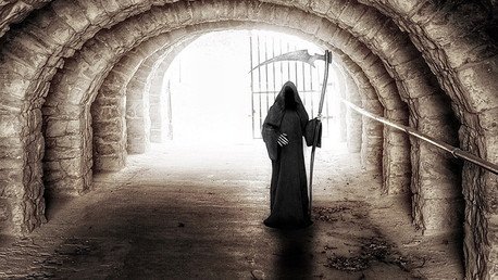 Científicos determinan qué reacciones desencadena el 'olor a muerte' en el ser humano