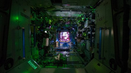 Una colonia de bacterias invade la EEI y amenaza a los tripulantes