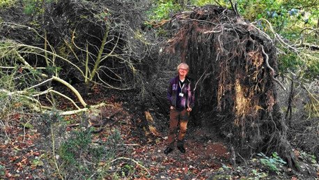 Hallan junto al Stonehenge una 'ecocasa' prehistórica más antigua que el monumento megalítico