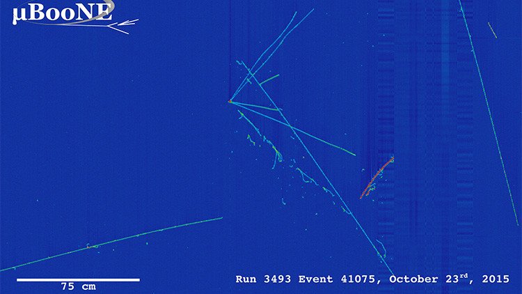 'Cazan' por primera vez 'partículas fantasma' 