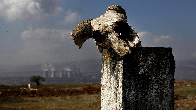 Gran Mortandad: Hallazgos inesperados reformulan la teoría sobre la mayor extinción en la Tierra